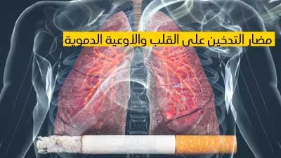 مضار التدخين على القلب والأوعية الدموية